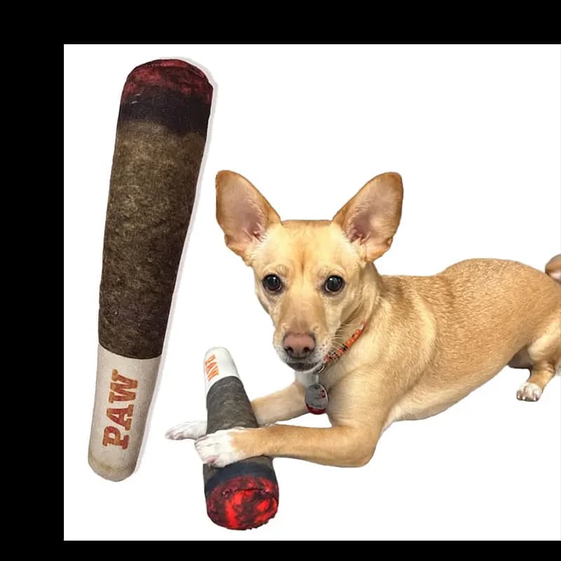 중소형 및 대형견용 플러시 삑삑이 장난감 - 멋진 귀여운 강아지 생일 선물, 강아지 관절 장난감, 재미있는 인터랙티브 장난감